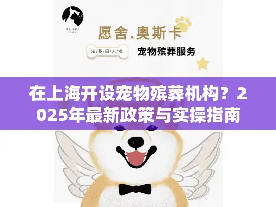 在上海开设宠物殡葬机构？2025年最新政策与实操指南