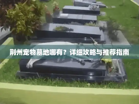 荆州宠物墓地哪有？详细攻略与推荐指南