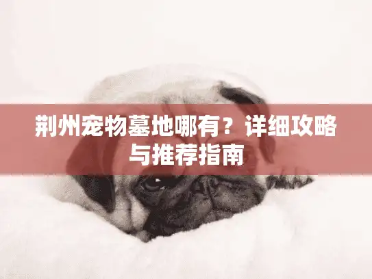 荆州宠物墓地哪有？详细攻略与推荐指南