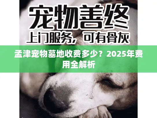孟津宠物墓地收费多少？2025年费用全解析