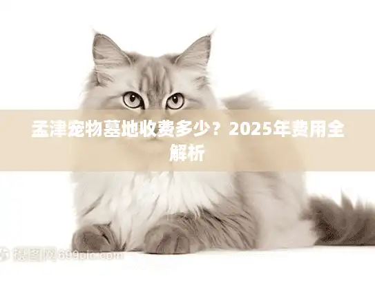 孟津宠物墓地收费多少？2025年费用全解析