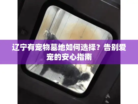 辽宁有宠物墓地如何选择？告别爱宠的安心指南