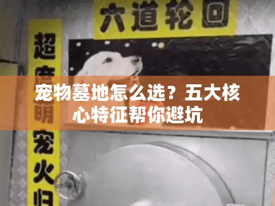 宠物墓地怎么选？五大核心特征帮你避坑