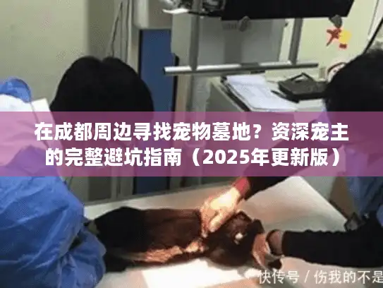 在成都周边寻找宠物墓地？资深宠主的完整避坑指南（2025年更新版）