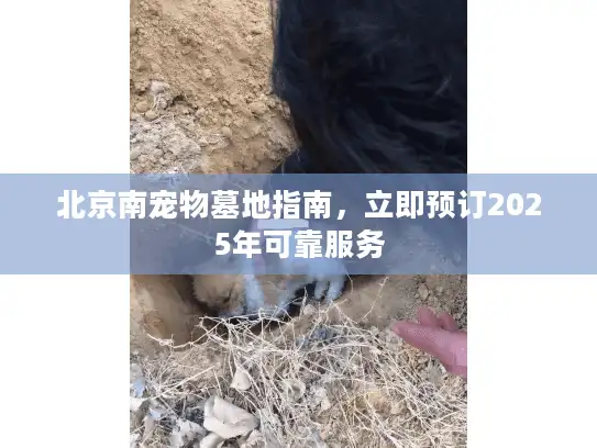 北京南宠物墓地指南，立即预订2025年可靠服务