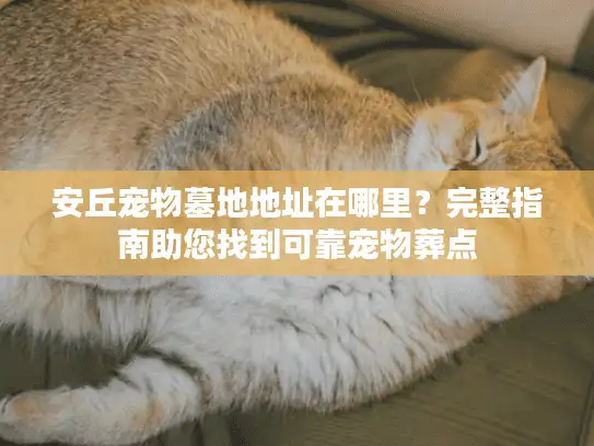 安丘宠物墓地地址在哪里？完整指南助您找到可靠宠物葬点