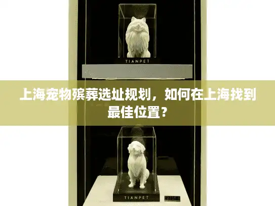 上海宠物殡葬选址规划，如何在上海找到最佳位置？