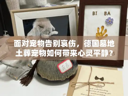 面对宠物告别哀伤，德国墓地土葬宠物如何带来心灵平静？
