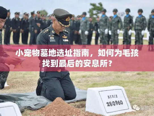 小宠物墓地选址指南，如何为毛孩找到最后的安息所？