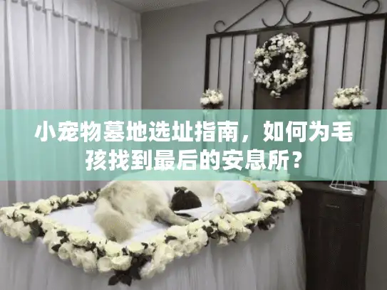 小宠物墓地选址指南，如何为毛孩找到最后的安息所？
