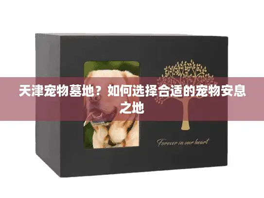 天津宠物墓地？如何选择合适的宠物安息之地