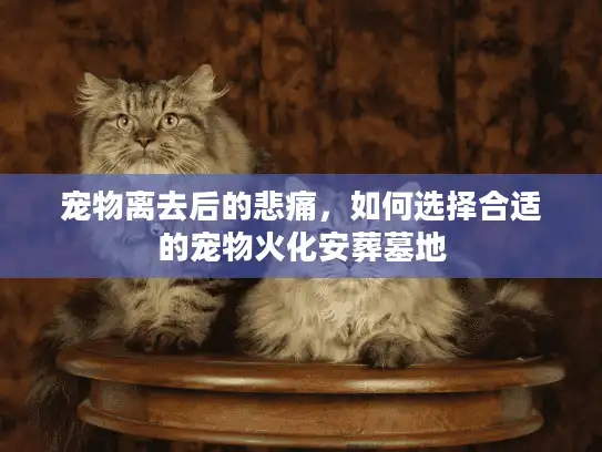 宠物离去后的悲痛，如何选择合适的宠物火化安葬墓地