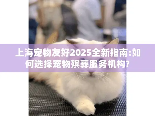 上海宠物友好2025全新指南:如何选择宠物殡葬服务机构?
