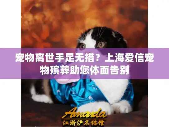 宠物离世手足无措？上海爱信宠物殡葬助您体面告别