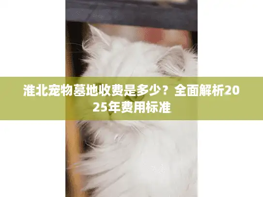 淮北宠物墓地收费是多少？全面解析2025年费用标准