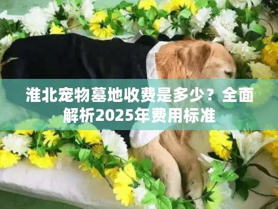 淮北宠物墓地收费是多少？全面解析2025年费用标准