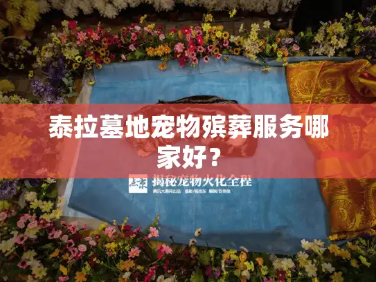 泰拉墓地宠物殡葬服务哪家好？