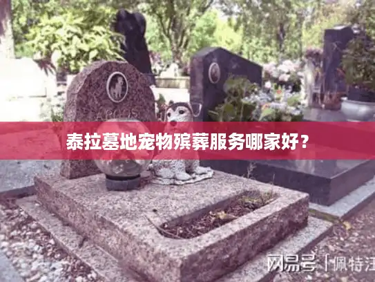 泰拉墓地宠物殡葬服务哪家好？