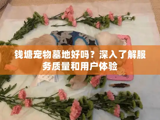 钱塘宠物墓地好吗？深入了解服务质量和用户体验