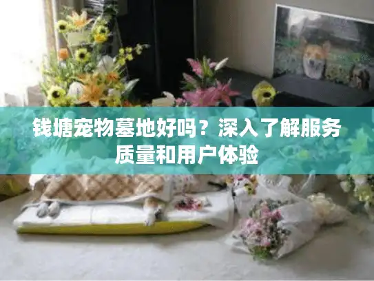 钱塘宠物墓地好吗？深入了解服务质量和用户体验