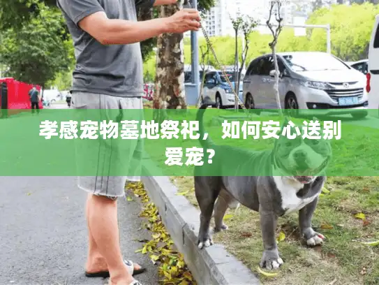 孝感宠物墓地祭祀，如何安心送别爱宠？