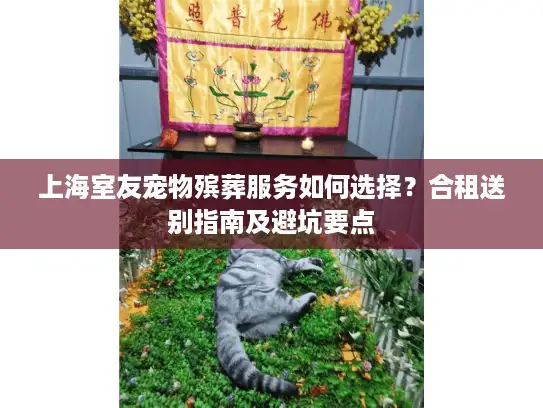 上海室友宠物殡葬服务如何选择？合租送别指南及避坑要点