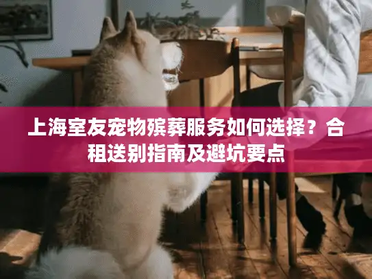上海室友宠物殡葬服务如何选择？合租送别指南及避坑要点