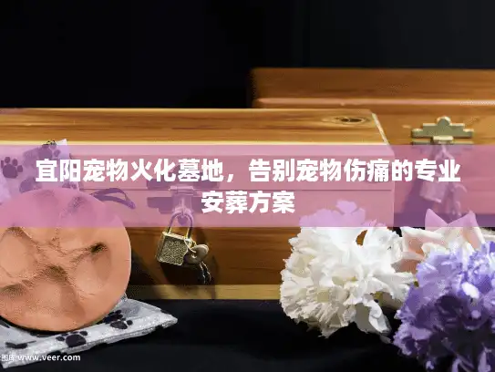 宜阳宠物火化墓地，告别宠物伤痛的专业安葬方案