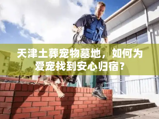 天津土葬宠物墓地，如何为爱宠找到安心归宿？