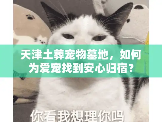天津土葬宠物墓地，如何为爱宠找到安心归宿？