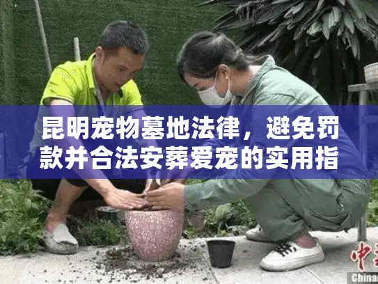 昆明宠物墓地法律，避免罚款并合法安葬爱宠的实用指南