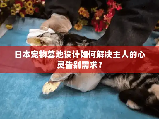 日本宠物墓地设计如何解决主人的心灵告别需求？