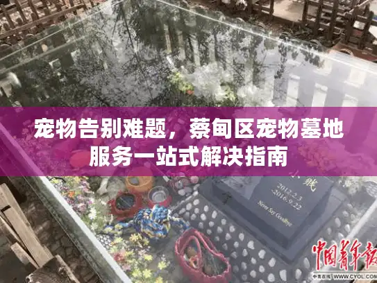 宠物告别难题，蔡甸区宠物墓地服务一站式解决指南