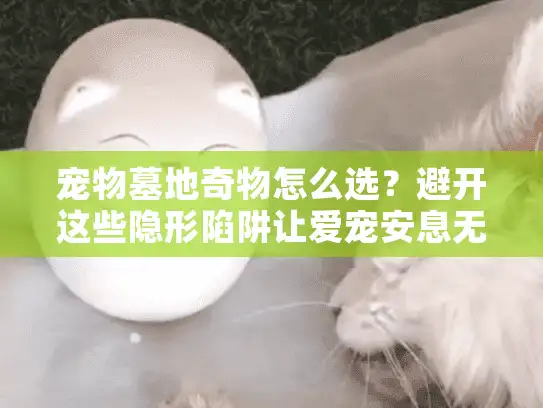 宠物墓地奇物怎么选？避开这些隐形陷阱让爱宠安息无忧
