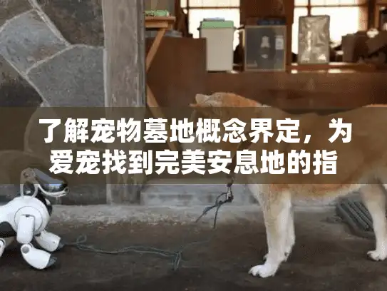 了解宠物墓地概念界定，为爱宠找到完美安息地的指南