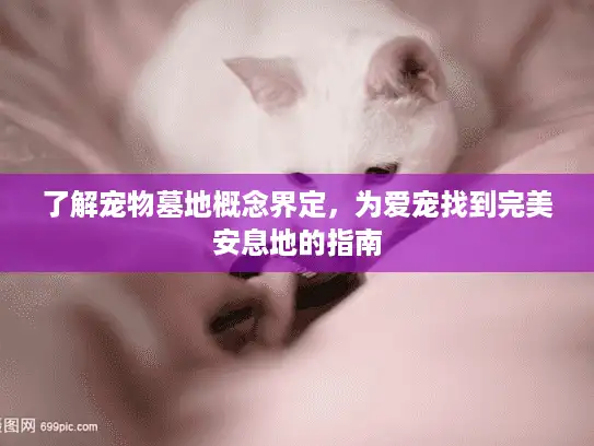 了解宠物墓地概念界定，为爱宠找到完美安息地的指南