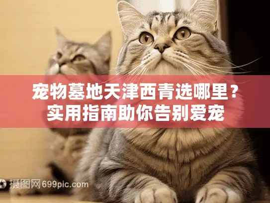 宠物墓地天津西青选哪里？实用指南助你告别爱宠