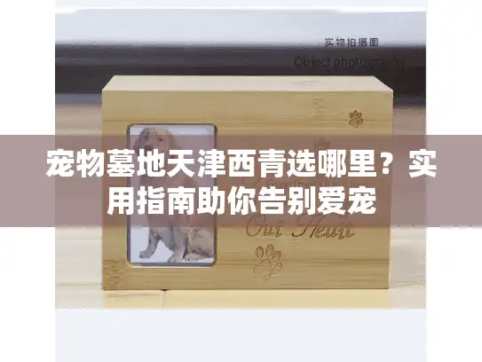 宠物墓地天津西青选哪里？实用指南助你告别爱宠