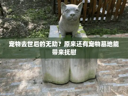 宠物去世后的无助？原来还有宠物墓地能带来抚慰