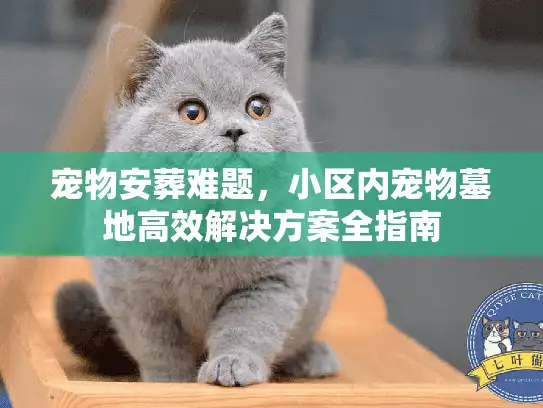 宠物安葬难题，小区内宠物墓地高效解决方案全指南