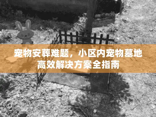 宠物安葬难题，小区内宠物墓地高效解决方案全指南
