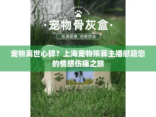 宠物离世心碎？上海宠物殡葬主播慰藉您的情感伤痛之旅