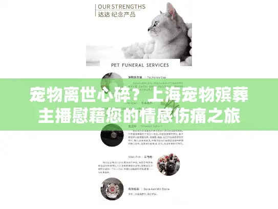 宠物离世心碎？上海宠物殡葬主播慰藉您的情感伤痛之旅