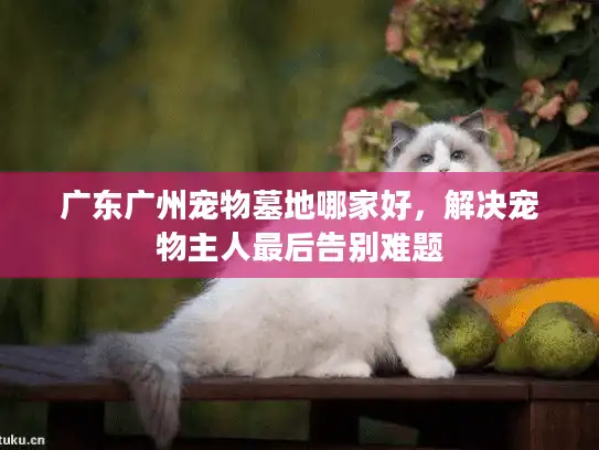 广东广州宠物墓地哪家好，解决宠物主人最后告别难题