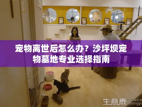 宠物离世后怎么办？沙坪坝宠物墓地专业选择指南