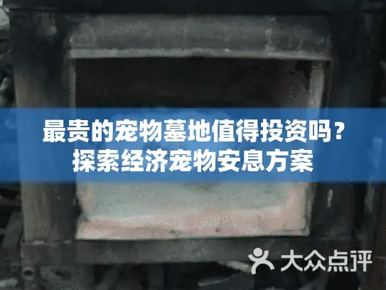 最贵的宠物墓地值得投资吗？探索经济宠物安息方案