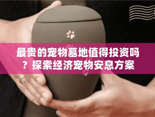 最贵的宠物墓地值得投资吗？探索经济宠物安息方案