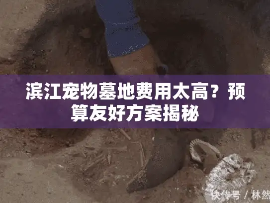 滨江宠物墓地费用太高？预算友好方案揭秘