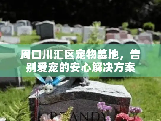 周口川汇区宠物墓地，告别爱宠的安心解决方案