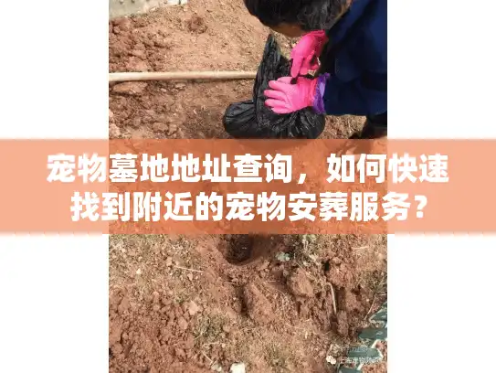 宠物墓地地址查询，如何快速找到附近的宠物安葬服务？